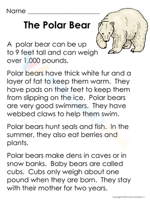 The Polar Bear: Discovering Arctic Animals