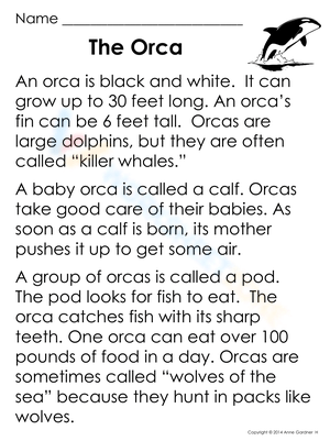 The Orca: Exploring Marine Mammals