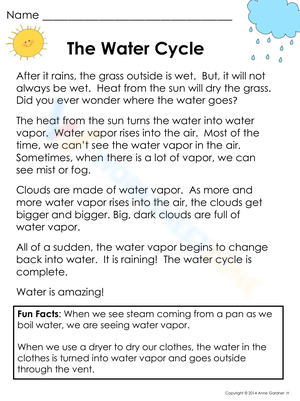 The Water Cycle: Exploring Earth's Processes