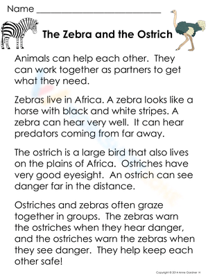 Zebra and Ostrich: Animal Symbiosis