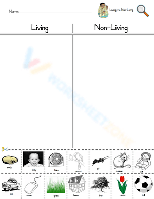 Sort Living vs Nonliving Things