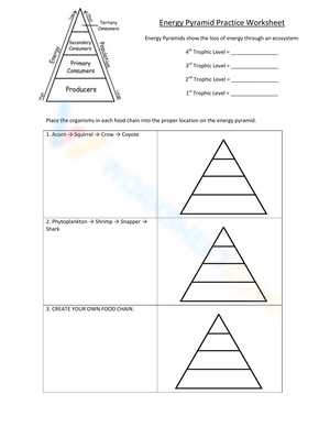 Energy Pyramid Practice Worksheet