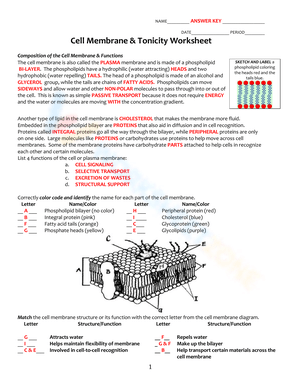 Cell Membrane Tonicity