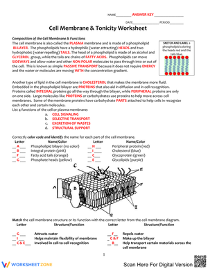 Cell Membrane Tonicity