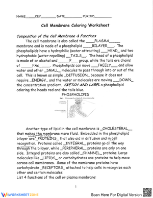 Cell Membrane Coloring Worksheet