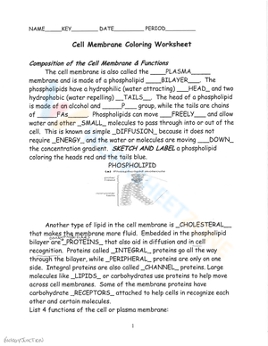 Cell Membrane Coloring Worksheet