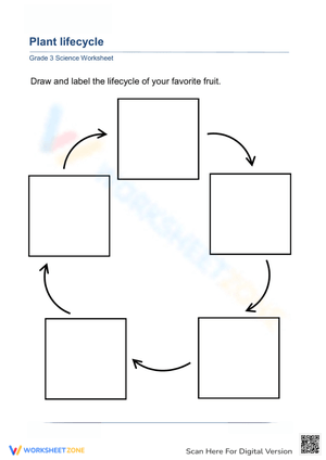 Draw and Label: Plant Life Cycle