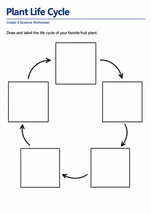 Plant Life Cycle Worksheet | Essential Grade 4 Science