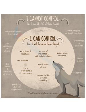 What I Can and Cannot Control Worksheet