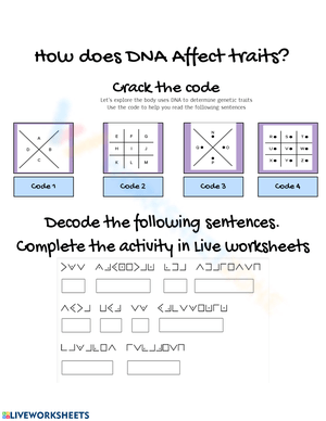 How DNA Affects Traits Worksheet