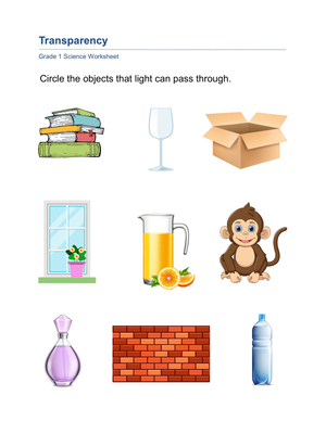Transparency Science Worksheet | Grade 1 Printable