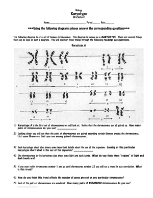 Analyze Karyotype with this Worksheet
