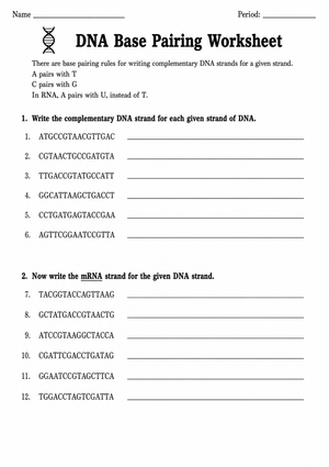 DNA Base Pairing Worksheet | Essential Grade 9-12 Biology