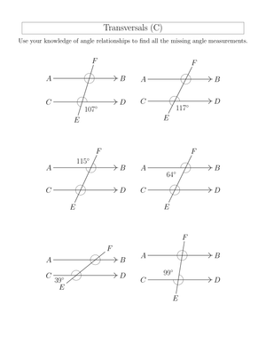 Angle Relationships in Transversals