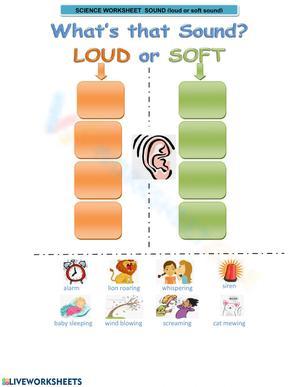 Loud or Soft Sound Recognition