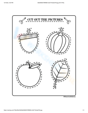 Cutting Practice Worksheet