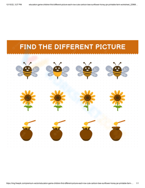 Bee and Honey Difference Detection
