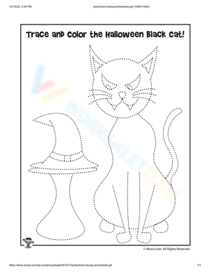Color the Cat and Hat Worksheet
