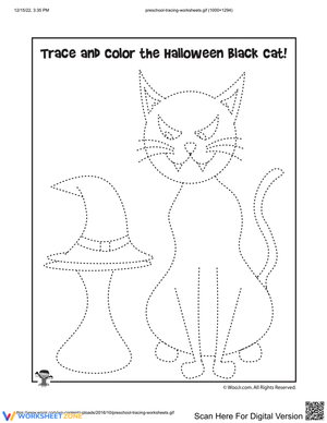 Color the Cat and Hat Worksheet