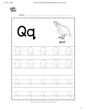 Letter Q with Quail
