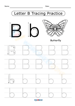 Explore the Letter B: Alphabet Learning