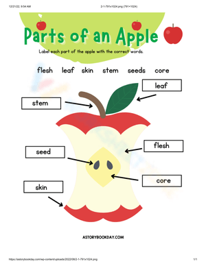 Learn Parts of an Apple with This Worksheet