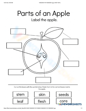 Label the Apple with This Worksheet