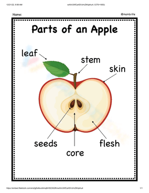 Explore Parts of an Apple on This Worksheet