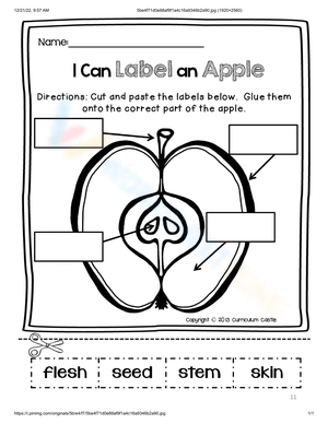 Practice Labeling an Apple with This Worksheet