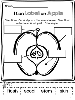 Practice Labeling an Apple with This Worksheet