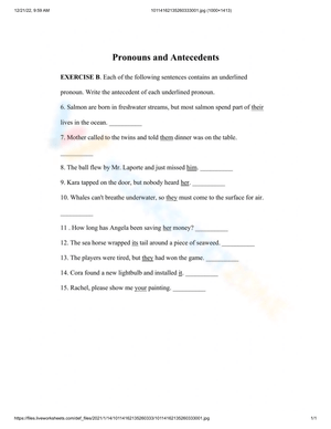 Exercise on Pronouns and Antecedents