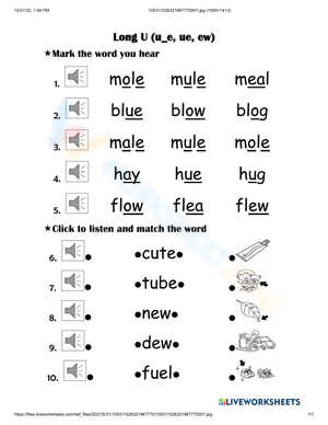 Practice Long U Words with This Worksheet