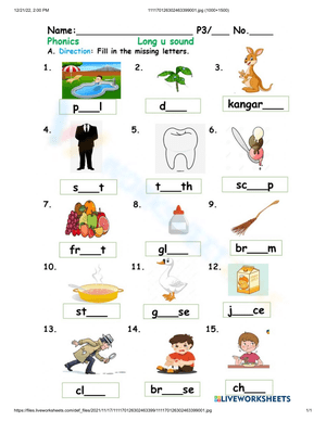 Exploring Long U Sounds with Phonics Worksheet
