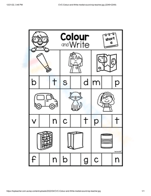 Write the Middle Sounds: A Phonics Worksheet