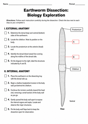 Earthworm Dissection Guide | Essential Biology Worksheet
