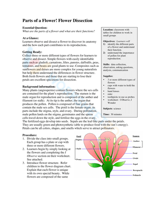 Parts of a Flower Dissection Guide