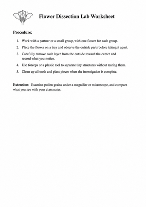 Flower Dissection Lab Worksheet | Essential Science Guide