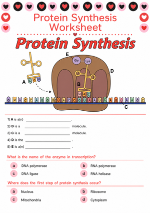 Essential Protein Synthesis Worksheet | Grade 9-12 Biology