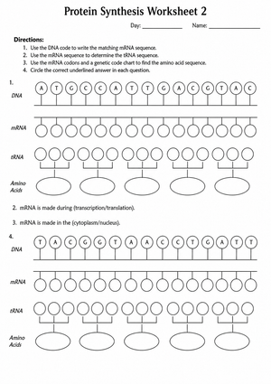 Grade 9 Protein Synthesis — Printable No-Prep Worksheet