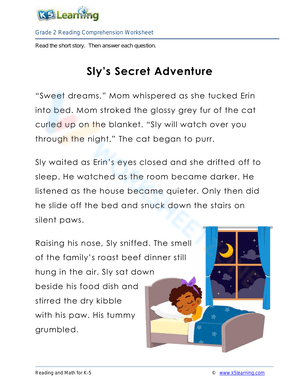 Sly's Secret Adventure: Reading Comprehension Fun