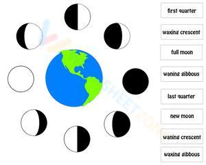 Study the Various Moon Phases