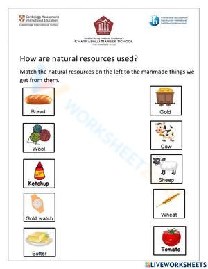 How Are Natural Resources Used? Worksheet