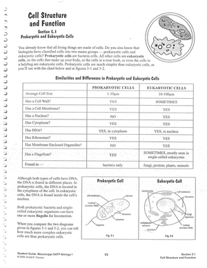 Explore Cell Structure and Function