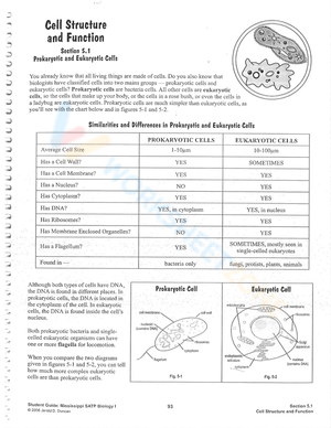 Explore Cell Structure and Function