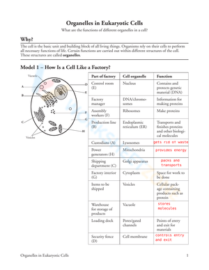 Learn Organelles in Eukaryotic Cells