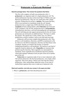 Prokaryote vs Eukaryote Worksheet