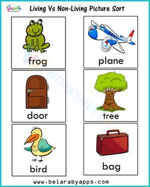 Picture of Living and Non-Living Things