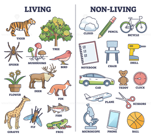 Living and Non-Living Things – Illustrated Sorting Chart