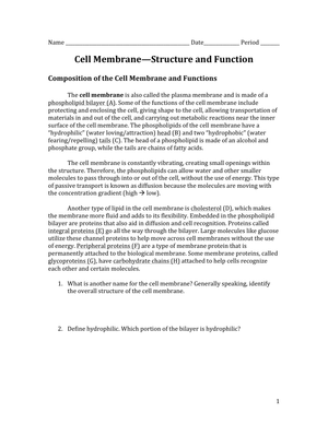Cell Membrane Structure and Function Worksheet