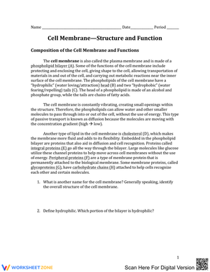 Cell Membrane Structure and Function Worksheet